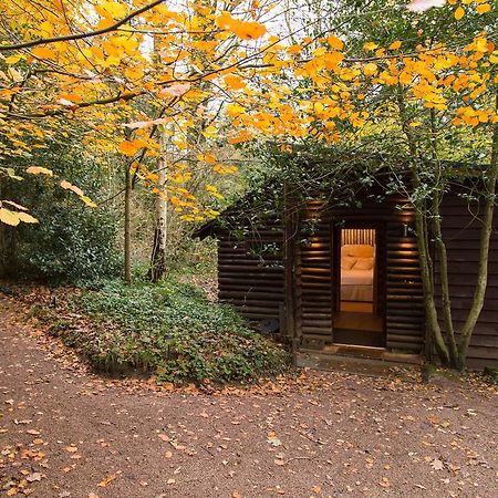 Pinetum Lodge Gloucester Rum bild