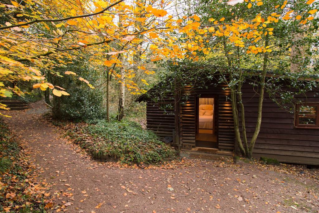 Pinetum Lodge Gloucester Rum bild