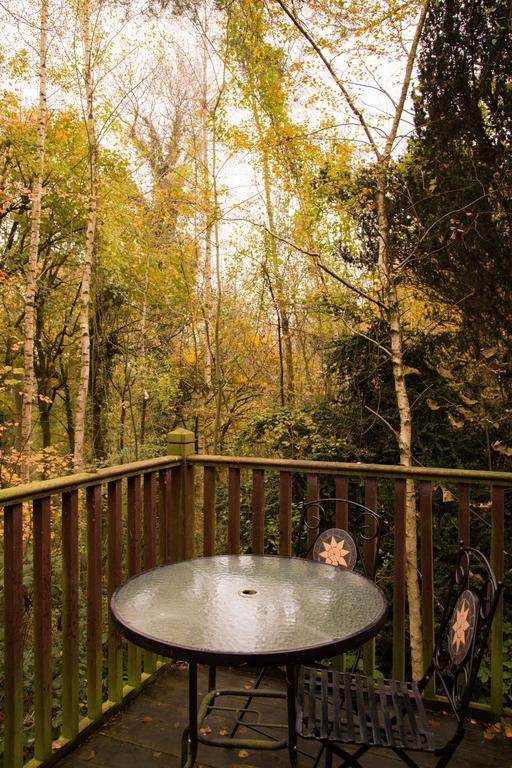 Pinetum Lodge Gloucester Rum bild
